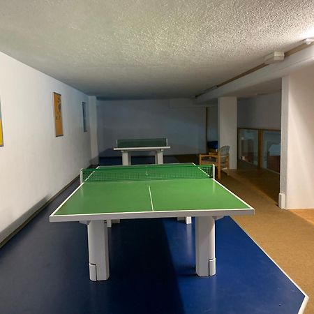 Pleskini Apartments Sankt Englmar Εξωτερικό φωτογραφία