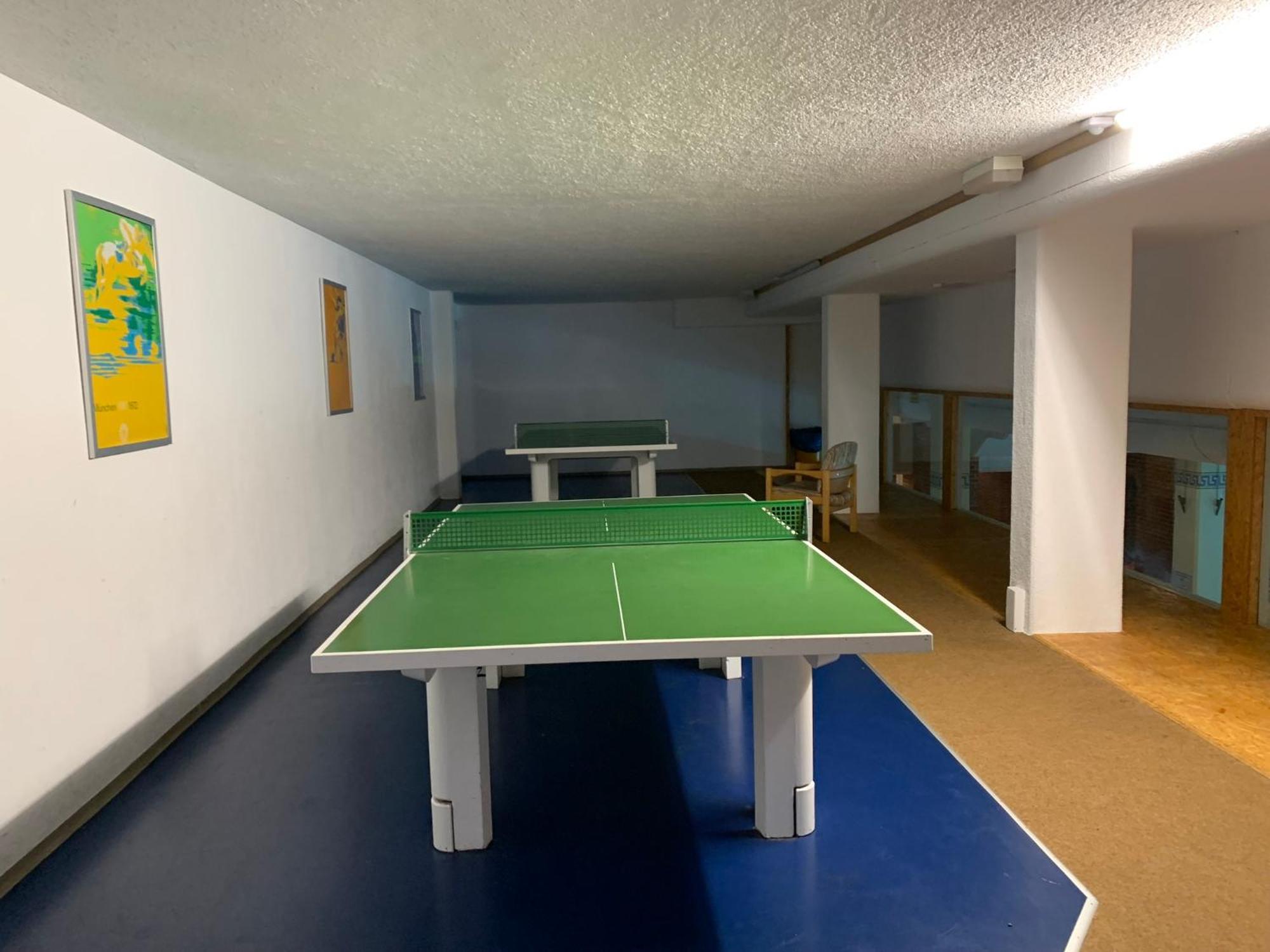 Pleskini Apartments Sankt Englmar Εξωτερικό φωτογραφία